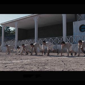 Bilder Zaferin Rengi