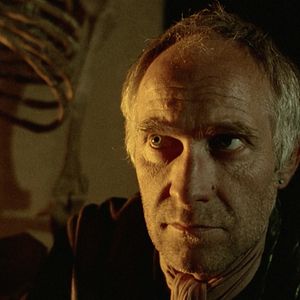 Bilder Die Macht der Gefühle