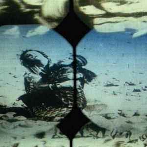 Bilder Die Macht der Gefühle