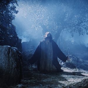 Bilder Die Passion Christi