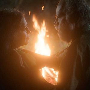 Bilder In the Belly of a Tiger