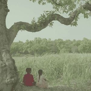 Bilder In the Belly of a Tiger