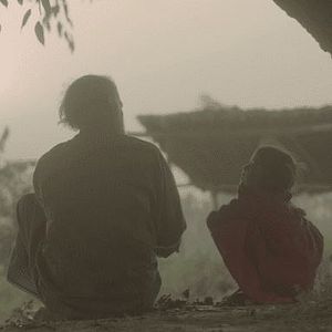 Bilder In the Belly of a Tiger