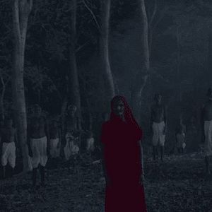 Bilder In the Belly of a Tiger