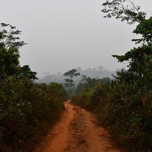 Bilder À quand l’Afrique?