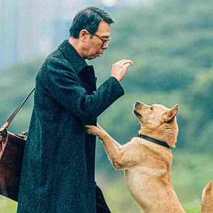 Bilder Hachiko - Eine Freundschaft für die Ewigkeit