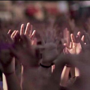 Bilder Du bist nicht allein: Kampf gegen das Wolfsrudel