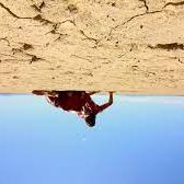 Bilder The Outwaters