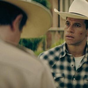 Bilder Alex Hernández (II)