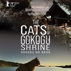 Bilder Die Katzen vom Gokogu-Schrein