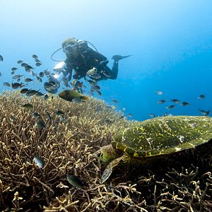 Bilder Die Sprache der Erde