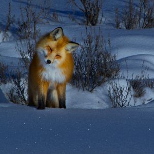 Bilder Die Sprache der Erde