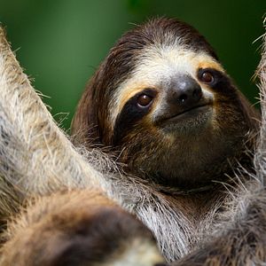 Bilder Die Sprache der Erde