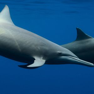 Bilder Die Sprache der Erde