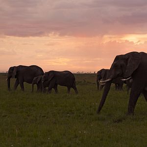 Bilder Die Sprache der Erde
