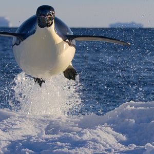 Bilder Die Sprache der Erde