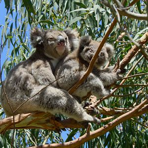 Bilder Die Sprache der Erde