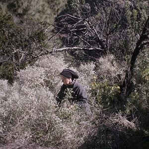 Bilder The Undergrowth