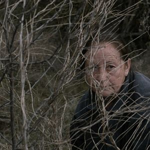 Bilder The Undergrowth