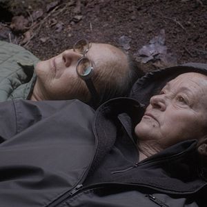 Bilder The Undergrowth