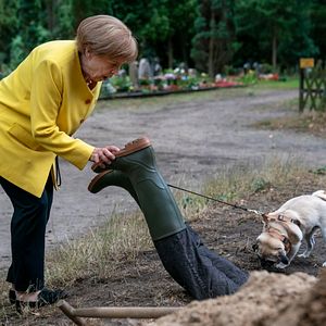 Bilder Miss Merkel – Ein Uckermark-Krimi: Mord auf dem Friedhof