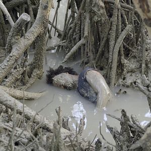 Bilder Resonance Spiral