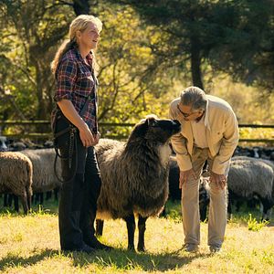 Bilder Urlaub wider Willen mit Eugene Levy