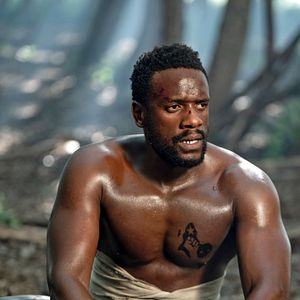 Bilder Das Herz des Jägers