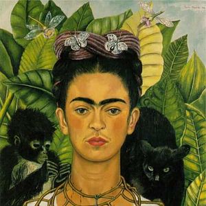 Bilder Frida
