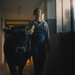 Bilder Alle die du bist