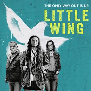 Bilder Little Wing