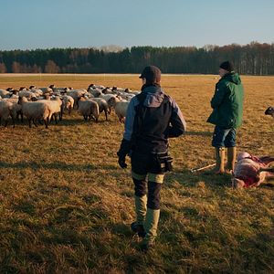 Bilder Im Land der Wölfe