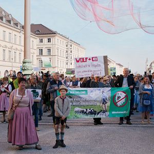 Bilder Im Land der Wölfe