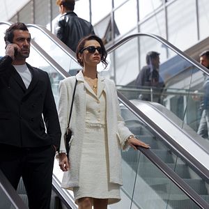 Bilder Der Vogel und die Löwin