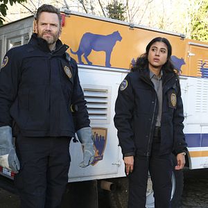 Bilder Animal Control