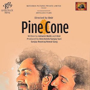 Bilder Pine Cone