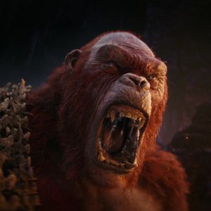 Bilder Godzilla x Kong: The New Empire