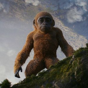 Bilder Godzilla x Kong: The New Empire