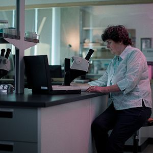 Bilder Files Of The Unexplained