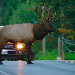 Bilder Unsere lebende Welt