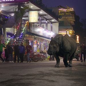 Bilder Unsere lebende Welt