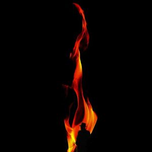 Bilder A Fall From Grace