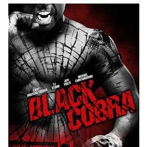 Bilder Black Cobra