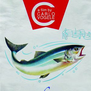 Bilder Una furtiva lagrima