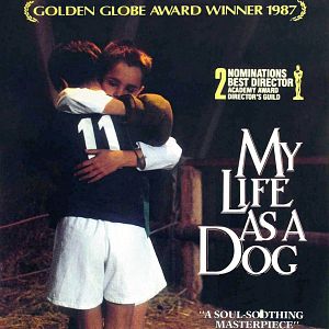 Bilder Mein Leben als Hund