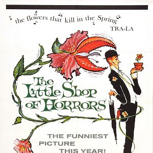 Bilder Kleiner Laden voller Schrecken