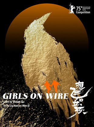 Filmposter von Girls on Wire 