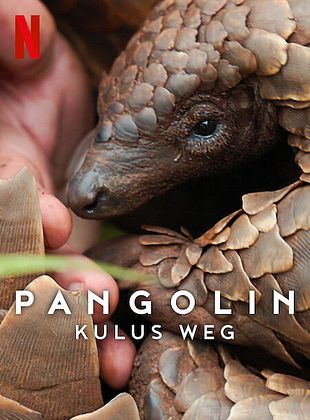 Filmposter von  Pangolin: Kulus Weg