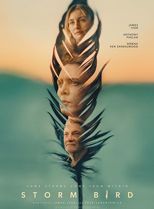 Filmposter von  Storm Bird