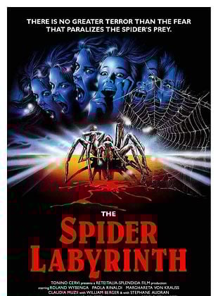 Filmposter von  Spider Labyrinth - In den Fängen der Todestarantel